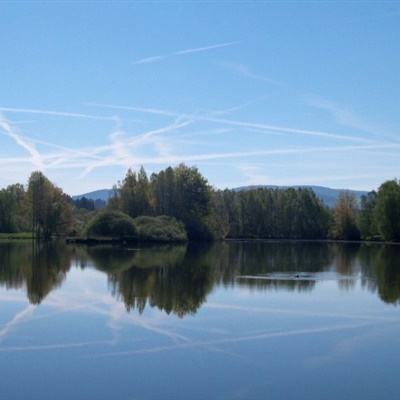 新天地棋牌截图